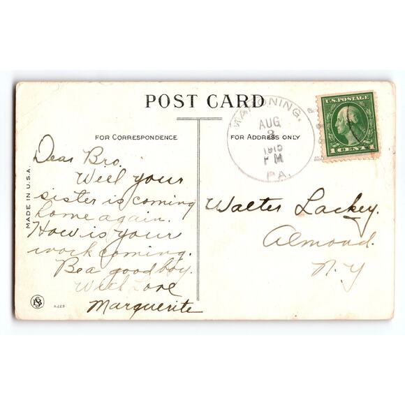 Vintage 1915 Comic Postcard 'Honey & Bees' Divided Back Being Stung By Bees - Picture 2 of 2